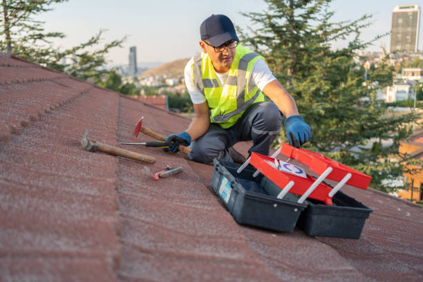 Best Fiber Cement Siding Installation  in Grove City, FL